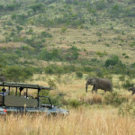 kwa-maritane-game-viewing